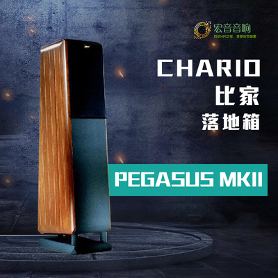 进口原装意大利卓丽家用落地音箱