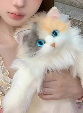 抖音同款三花猫仿真猫咪玩偶娃娃公仔毛绒玩具布偶猫背包生日礼物