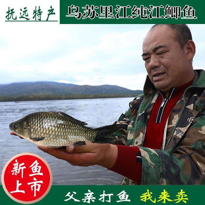 鲫鱼淡水鱼鲜活新鲜鲫瓜子