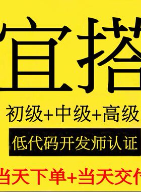 钉钉宜搭低代码开发师中高级实操当天交付宜搭系统运维应用搭建