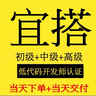 钉钉宜搭低代码开发师中高级实操当天交付宜搭系统运维应用搭建
