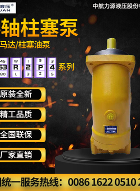 中航力源液压泵L2F12R2P3斜轴式柱塞泵A2F弯脖泵液压马达吊车主泵