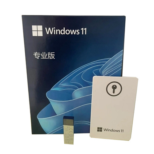 Windows11专业版64位重装U盘