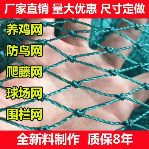 家禽养殖天网拦鸡菜园