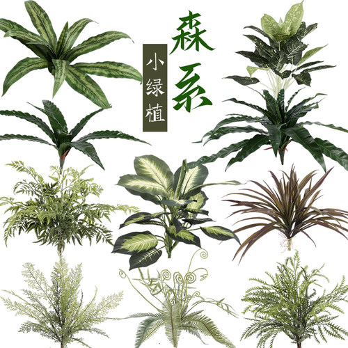 仿真蕨类植物高仿生波斯叶软胶绿植摆件拍摄道具墙面景观造景蕨草