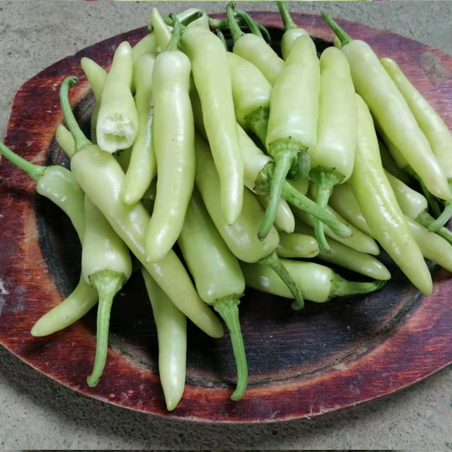 广西新鲜白玉椒白皮椒现摘辣椒