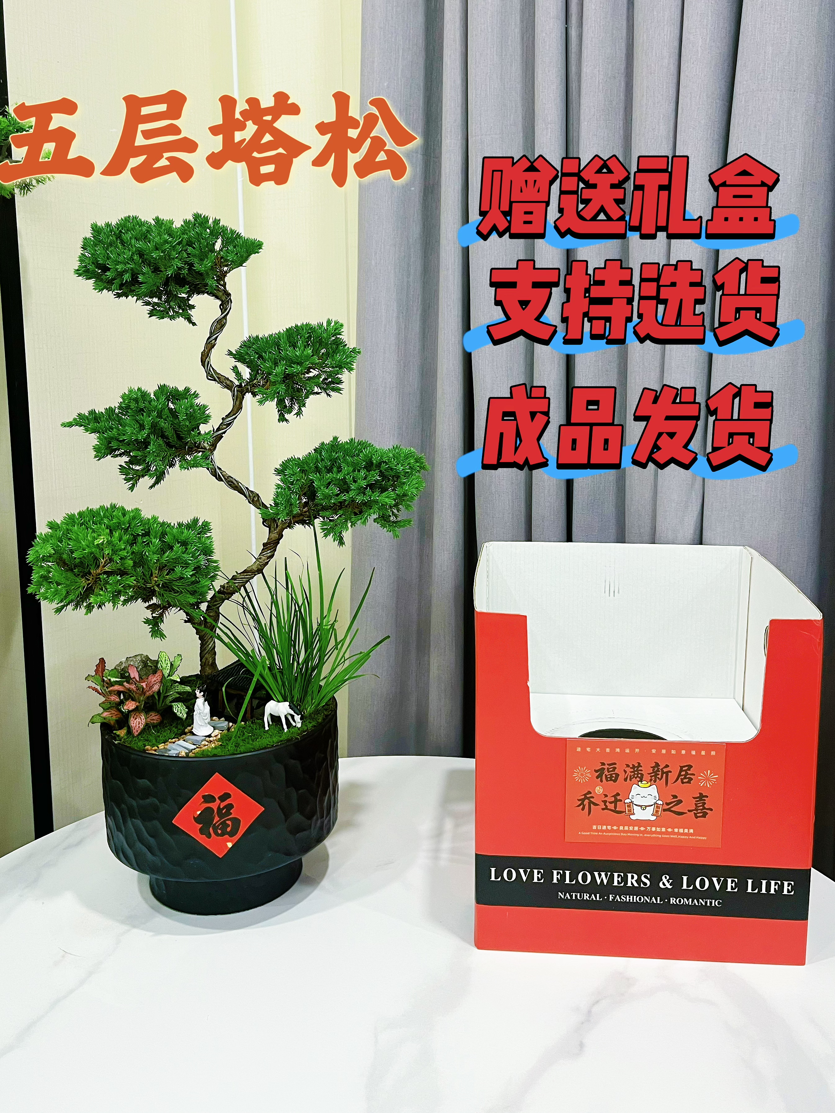 五层塔松室内盆栽送家里长辈老人贺寿乔迁开业生日退休谢师礼