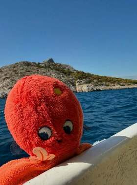 uneei保利历险红色大章鱼海洋动物感官游戏儿童益智早教启蒙玩偶