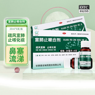 疏风宣肺120止咳嗽化痰咽痒cc 盒 普安康宣肺止嗽合剂20ml 6支