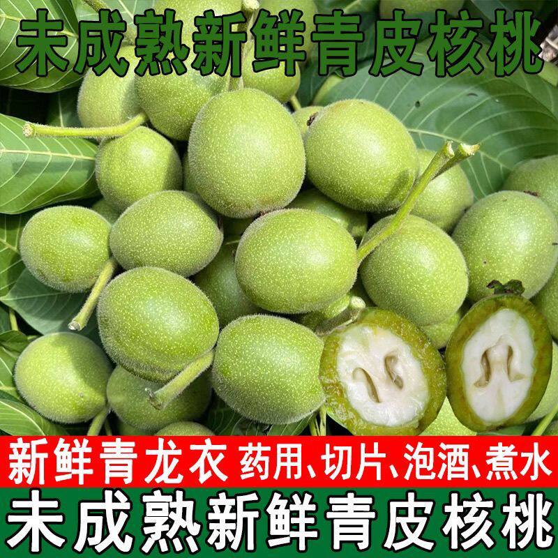 2026年新鲜青皮核桃幼果嫩湿核桃泡酒入药煮鸡蛋用带青皮现摘包邮