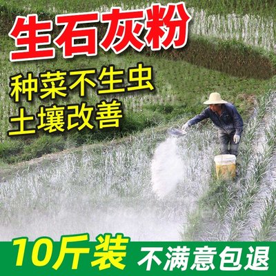 种菜生石灰粉非消毒剂非杀虫剂干燥剂改鱼塘良土壤石灰块除湿刷墙