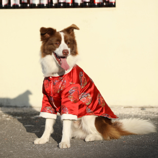 狗狗新年衣服大型犬冬季保暖红棉衣金毛拉布拉多过年喜庆大狗衣服