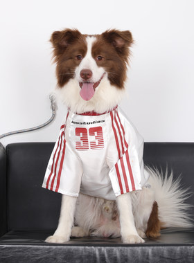 狗狗衣服大型犬夏季薄款金毛边牧拉布拉多防掉毛反光球衣运动衣服