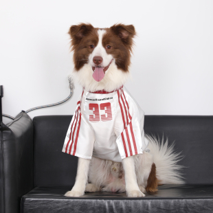 狗狗衣服大型犬春夏薄款金毛边牧拉布拉多防掉毛反光球衣运动衣服