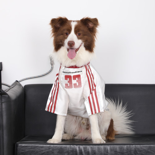 狗狗衣服大型犬春夏薄款金毛边牧拉布拉多防掉毛反光球衣运动衣服
