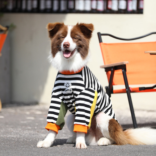 狗狗护肘衣服夏季薄款中大型犬衣服金毛拉不拉多边牧大狗衣服夏天