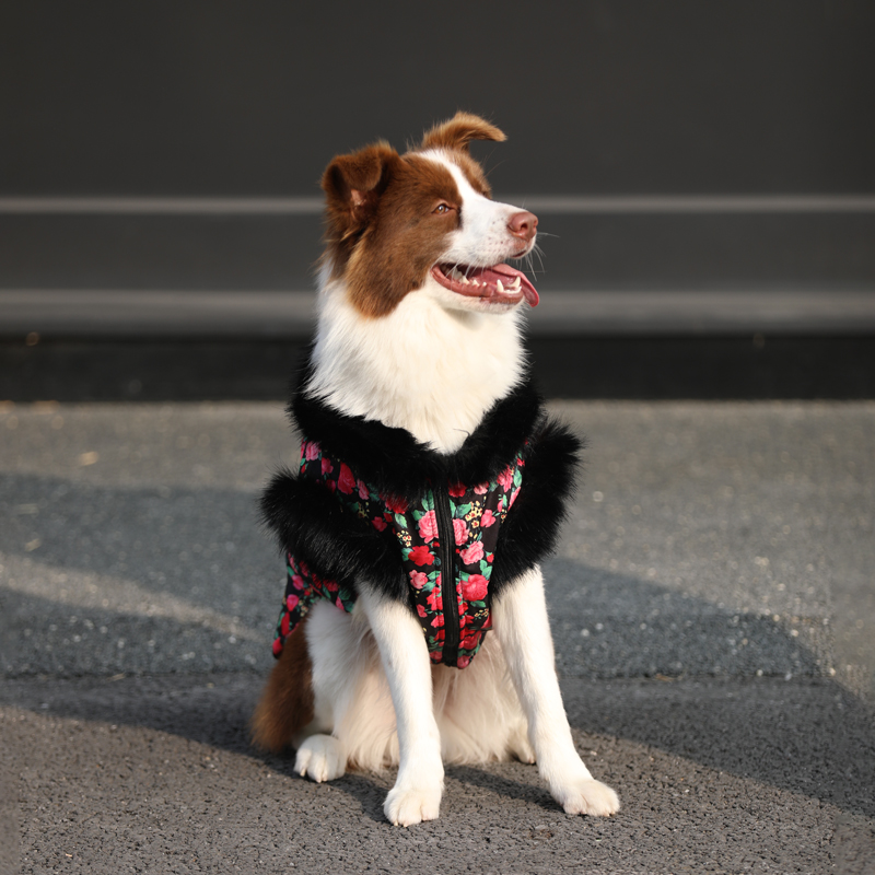狗狗冬季保暖花棉衣马甲