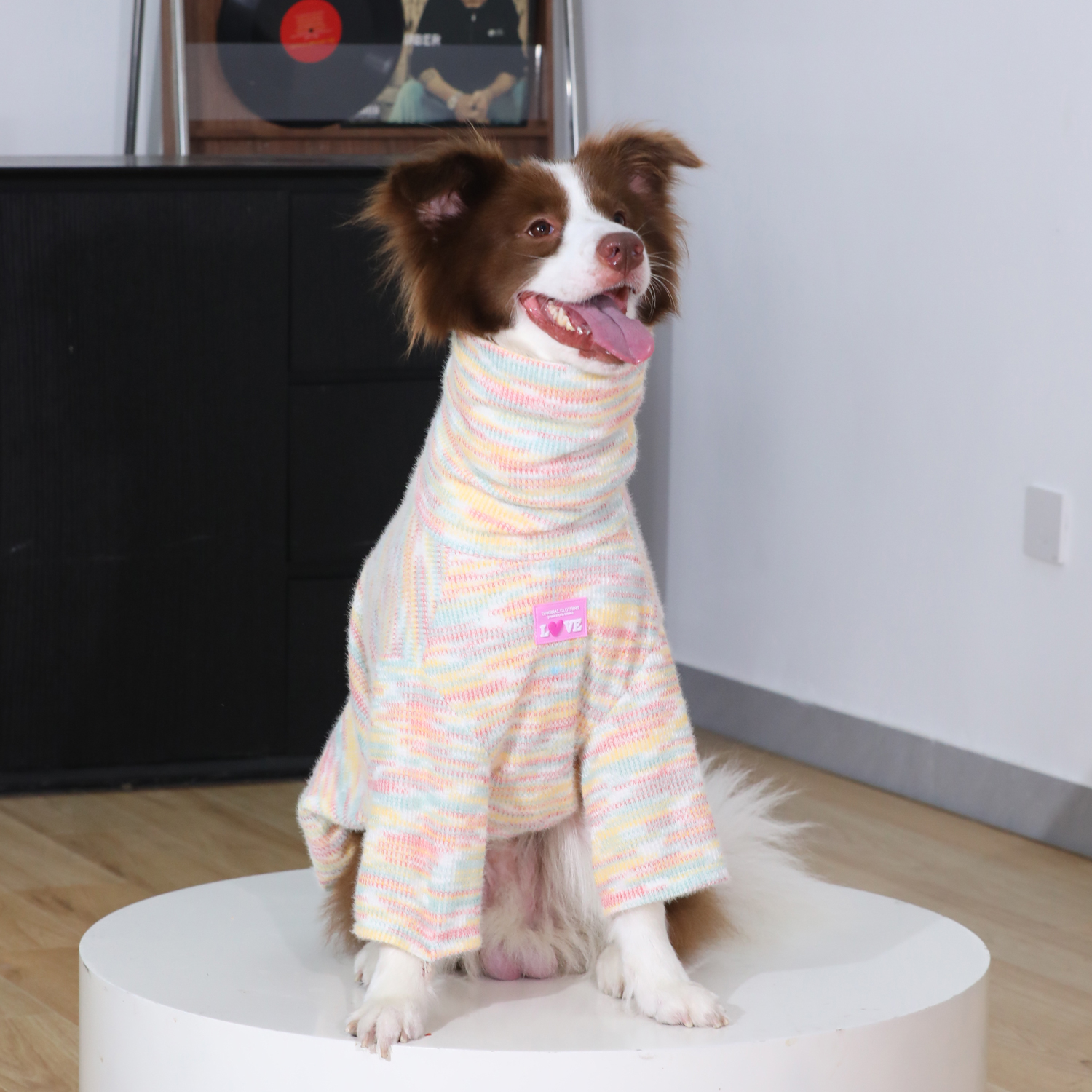 狗狗护肘毛衣金毛拉布拉多大型犬衣服潮牌边牧高领狗狗衣服春秋款