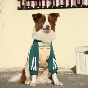 狗狗衣服大型犬秋冬保暖宠物金毛拉布拉多大狗衣服帅气边牧狗卫衣