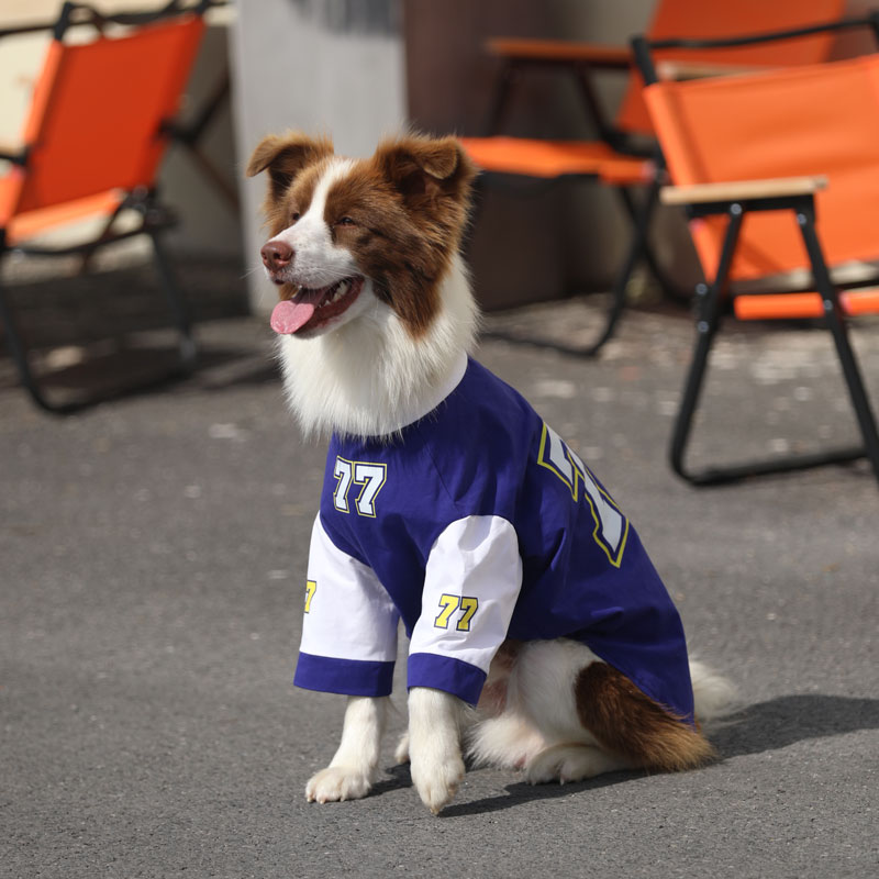 狗狗衣服大型犬夏季薄款宠物运动T恤金毛边牧拉布拉多撞色衣服夏