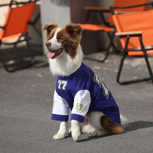 薄款 狗狗衣服大型犬夏季 宠物运动T恤金毛边牧拉布拉多撞色衣服夏