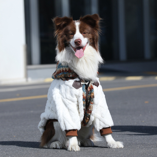 狗狗衣服秋冬加厚保暖宠物狗外套金毛拉布拉多土松边牧大型犬衣服