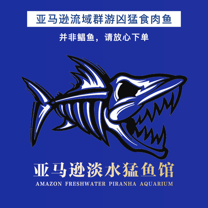 南美凶猛鱼淡水亚马逊肉食性追鱼观赏鱼宠物小精灵鱼好养易活包邮
