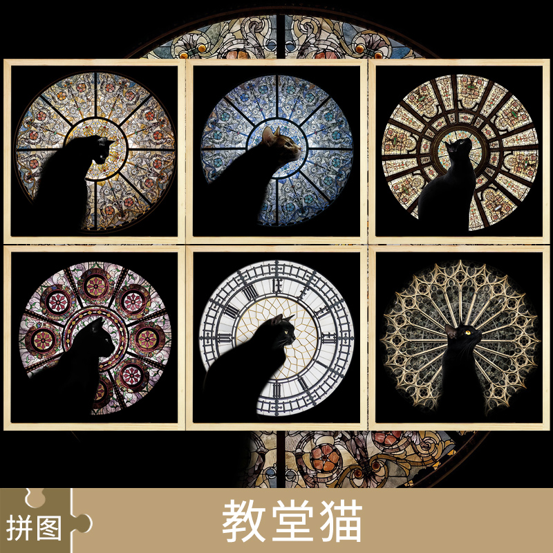 教堂猫拼图Cathedral Cat白卡解压治愈系正版解闷高难度nautilus