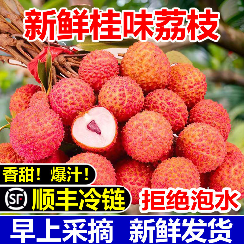 【顺丰冷链】广东岭南桂味荔枝当季新鲜现摘水果非糯米王荔枝糍