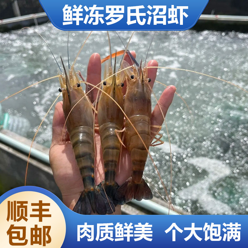 罗氏沼虾鲜活冷冻淡水虾大头虾罗氏虾生鲜大河虾超大只批发餐厅用图片