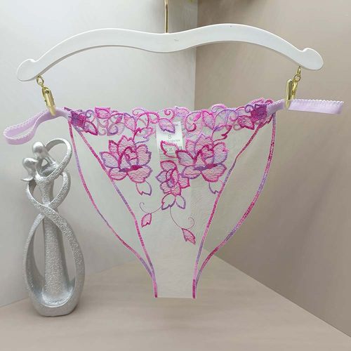 网纱绣花刺绣丁字裤轻复古文艺轻盈风春夏新款