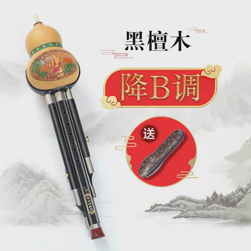 芦檀木葫芦丝乐器初学者c调降b调小学生专业演奏级胡民族丝儿童