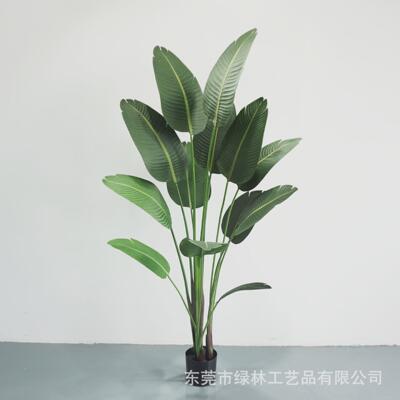 仿真旅人蕉室内外景观装饰人造芭蕉树各种仿真中小树假绿植