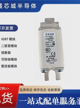 快速熔断器170m2016现货量大优惠保险丝包邮
