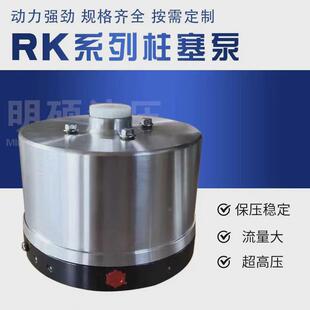 两排一排高压工程机械柱塞泵径向液压传动系统rk微型柱塞泵头厂家