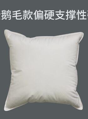 61k3白鹅毛羽绒酒店抱枕芯床头靠枕芯靠垫芯沙发办公室内胆方