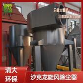 沙克龙除尘器分离器脉冲旋风除尘器布袋除尘器