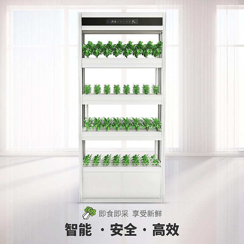 箱无土栽培设备水培蔬菜植物工厂立体智能种植系统机架柜家庭阳台