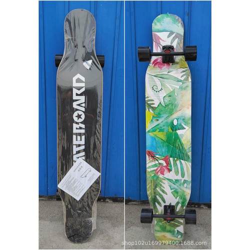 长板滑板专业板女男生初学者成人舞板女生青少年儿童公路板