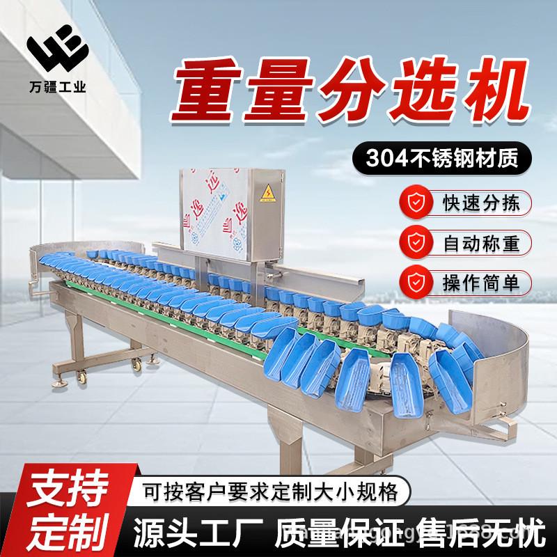 全自动水果分选设备凤梨等级分级机转盘式西红柿分选机