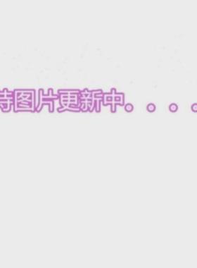 13代CPUSRMXFSRME9 i9-13980HX SRMEC SRMXF SRMED SRME5