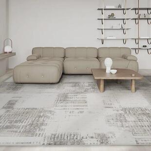 中式兴港龙carpet北欧式简约轻奢沙发大地毯客厅现代茶几垫通加厚