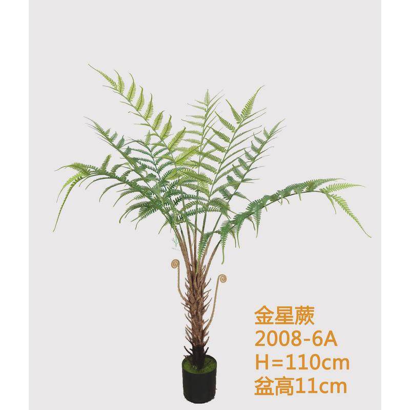 仿真植物金星蕨盆栽蕨叶类热带绿植民宿热带雨林装饰造景蕨草摆件