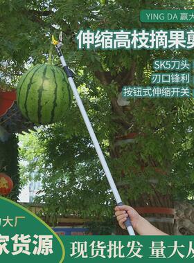 赢大伸缩高枝摘果剪加长高空剪摘果器采果剪伸缩高枝剪摘果器