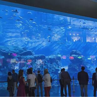 亚克力超大型浴缸制作海洋馆大型高透明鱼缸观赏设计亚克力鱼缸