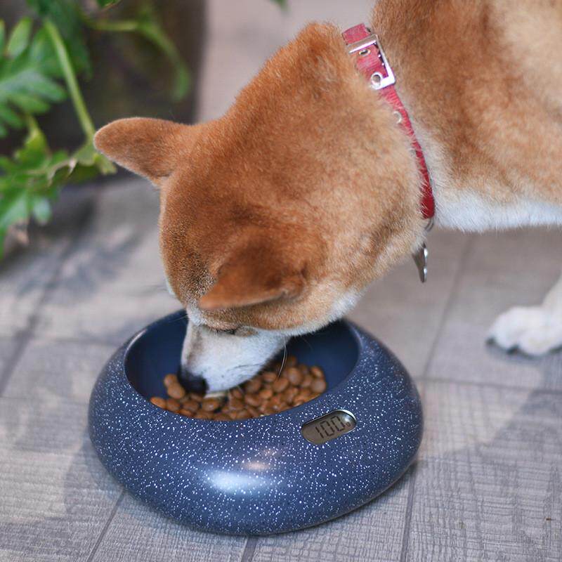 新款宠物喂食器智能称重电子碗可水洗猫狗喂食盆防溢出宠物喂食盘