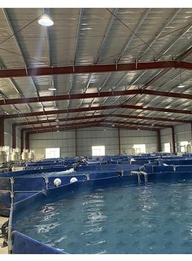 ras养殖融鱼类文旅城鱼类暂养项目循环水处理系统创养殖设备