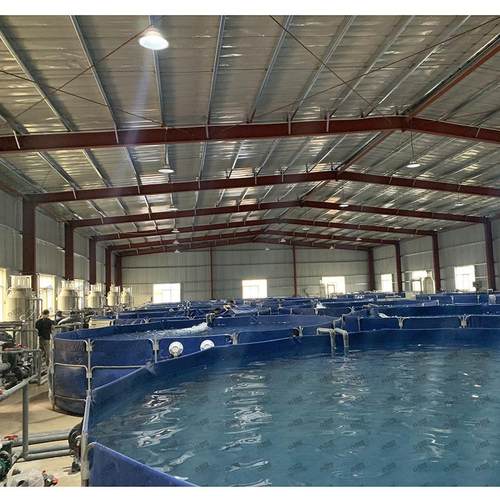 RAS养殖融创文旅城鱼类暂养项目循环水处理系统鱼类养殖设备