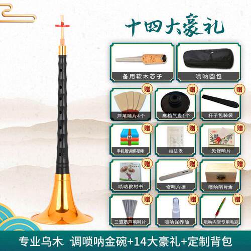 宏艺凤鸣专业镜面堂乌木唢呐d调精品调唢呐乐器全套专业演d初学者