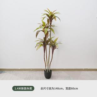 家居仿真红叶朱蕉绿植客厅北欧酒店造景热带雨林景观植物假树盆栽